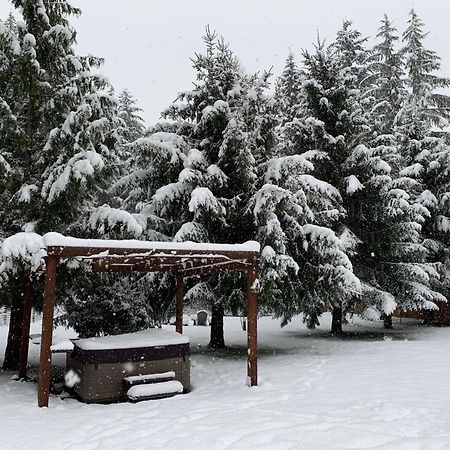 فيلا Bear'S Den Hideaway With Hot Tub أشفورد المظهر الخارجي الصورة